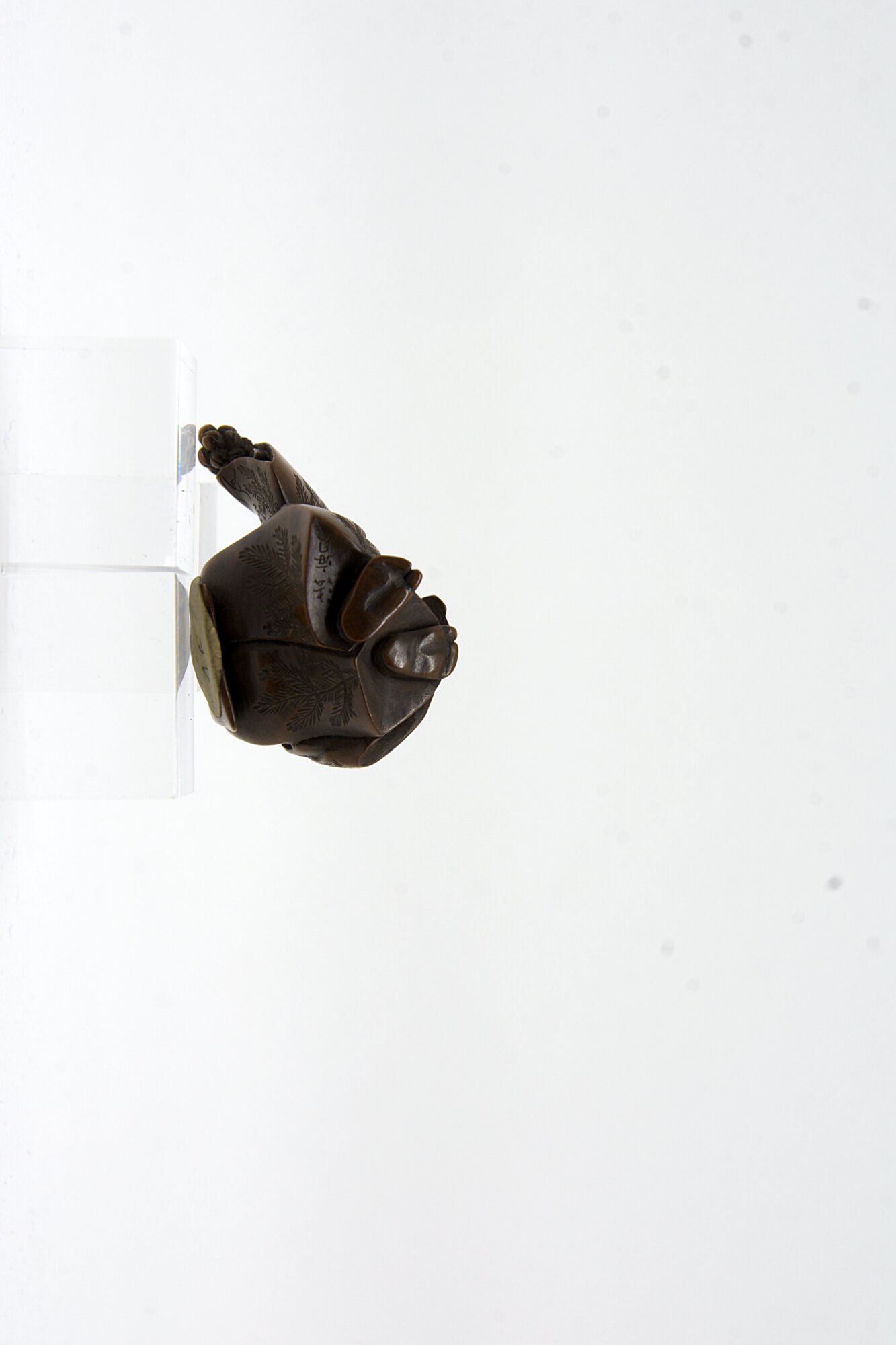 CH01N-46_5.tiff