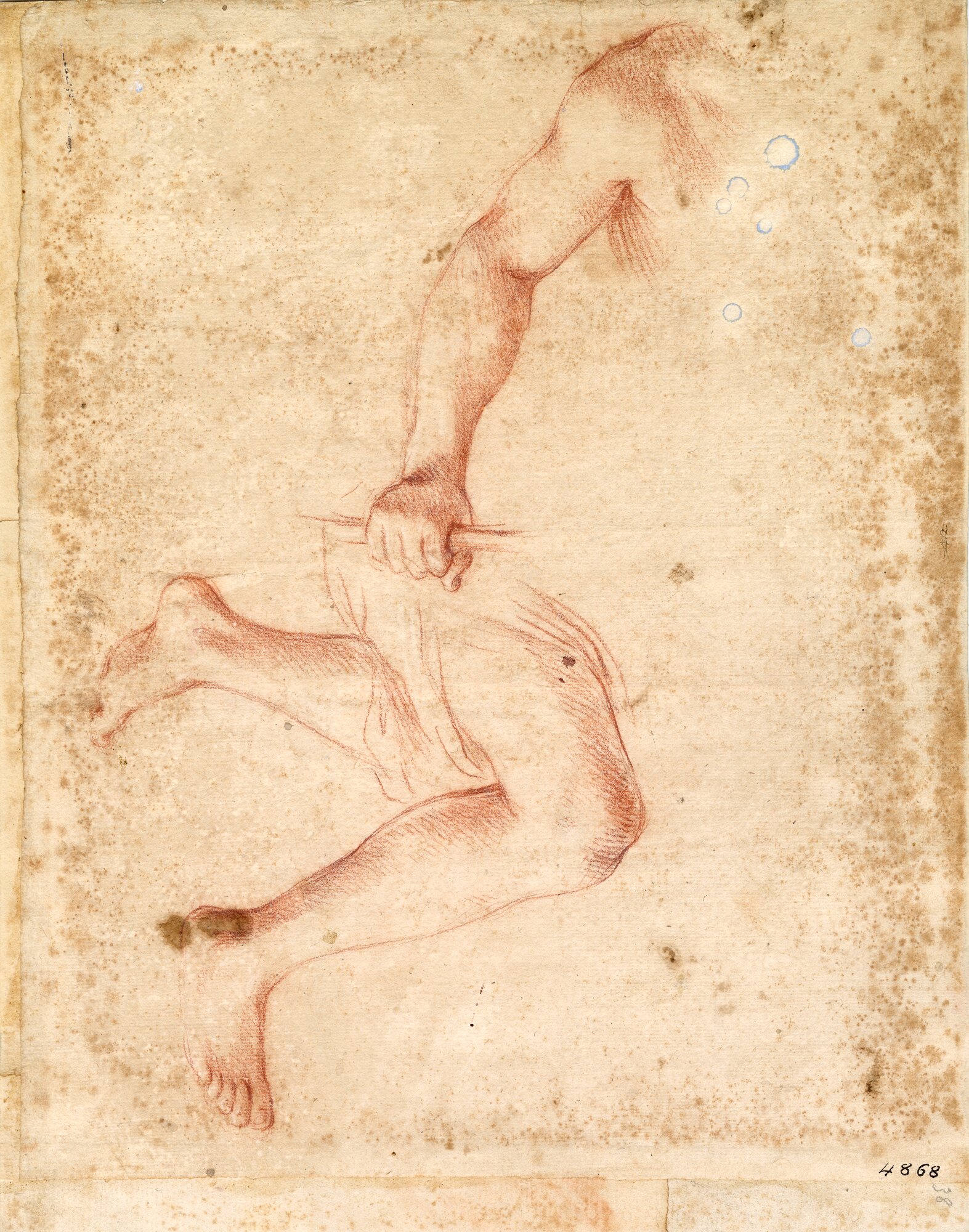 D4868_Franceschini M..tif