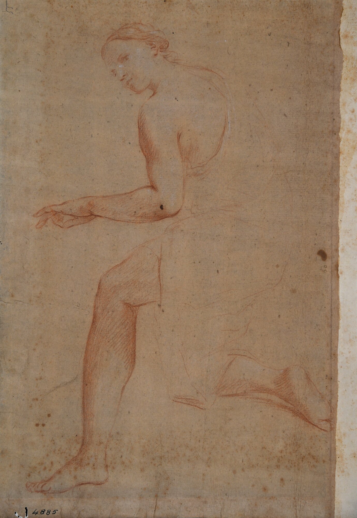 D4885_Franceschini M..tif