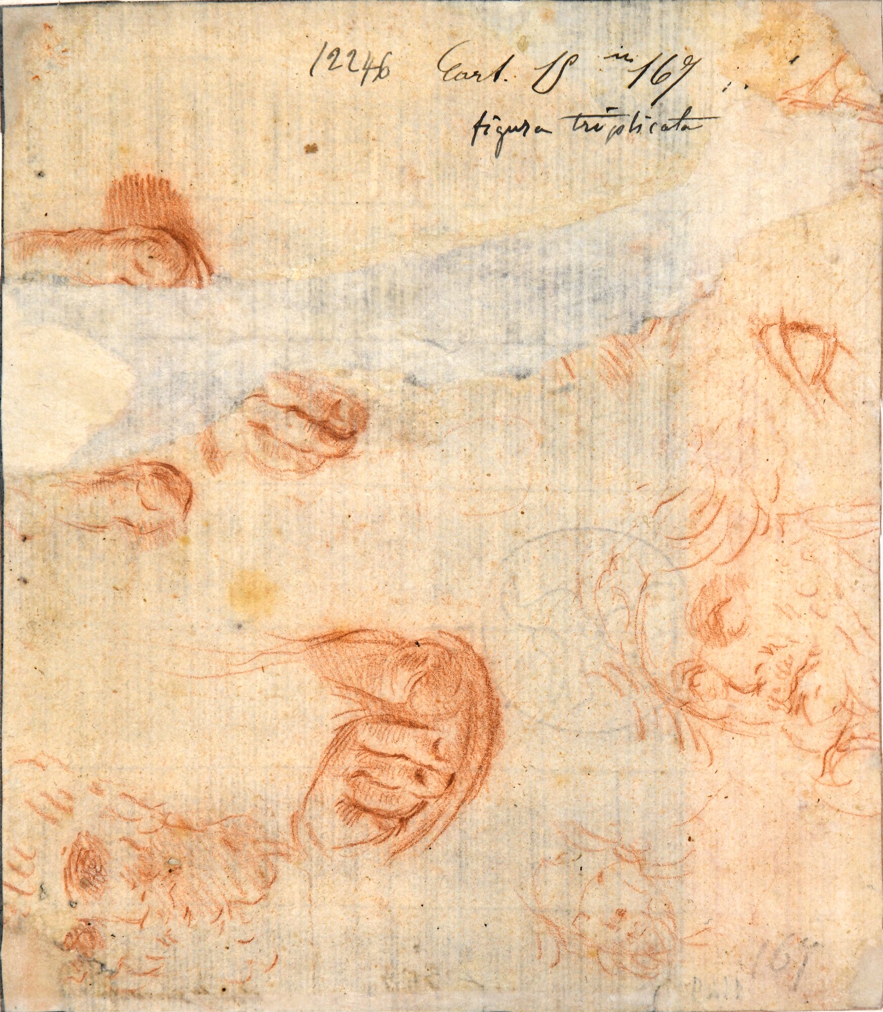 D1149_Cantarini S. Recto.tif