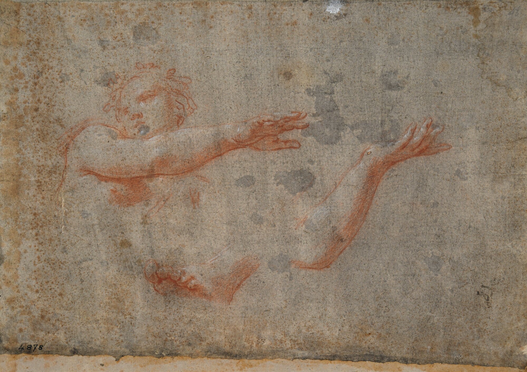 D4878_Franceschini M..tif