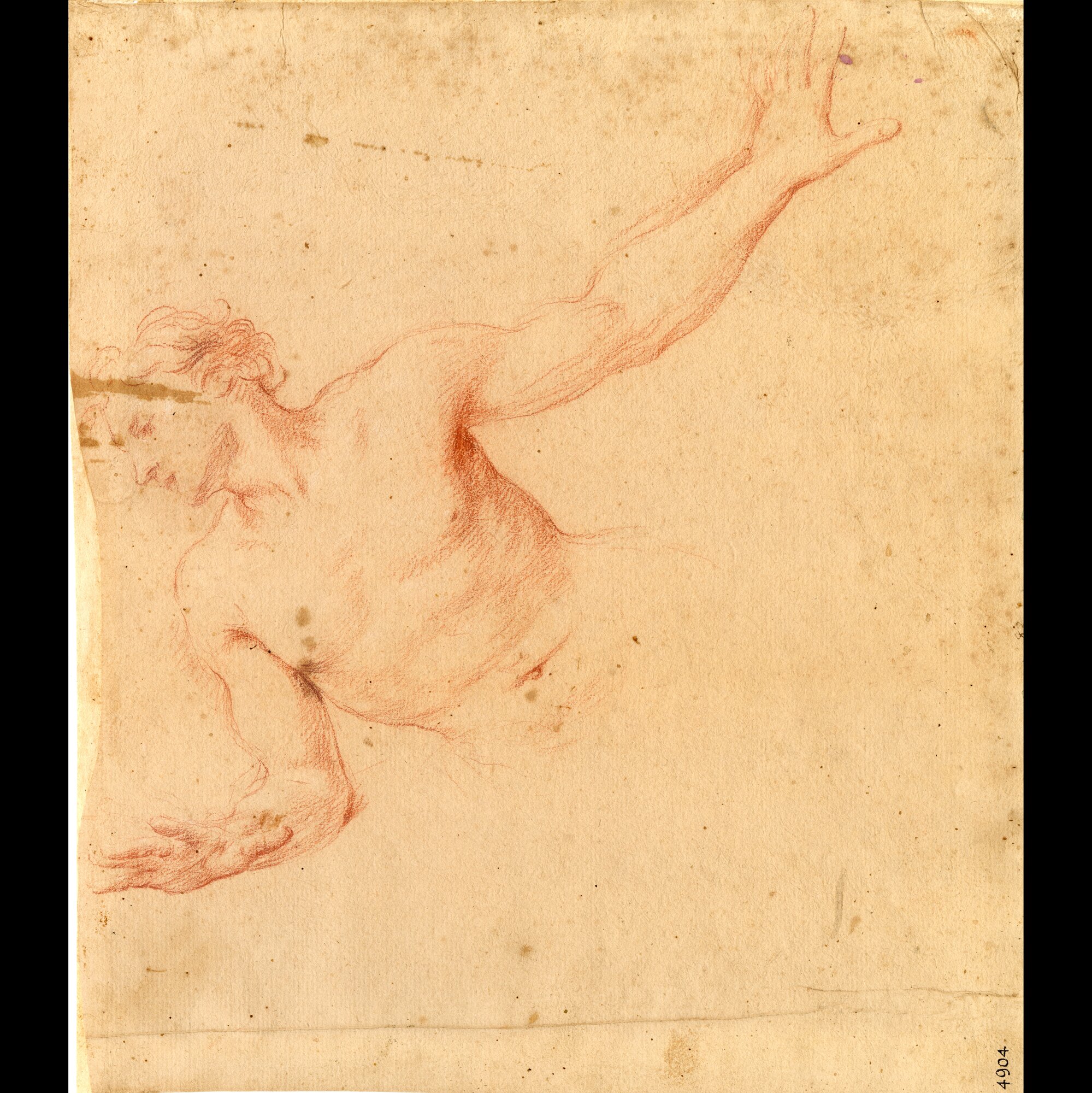D4904_Franceschini M..tif