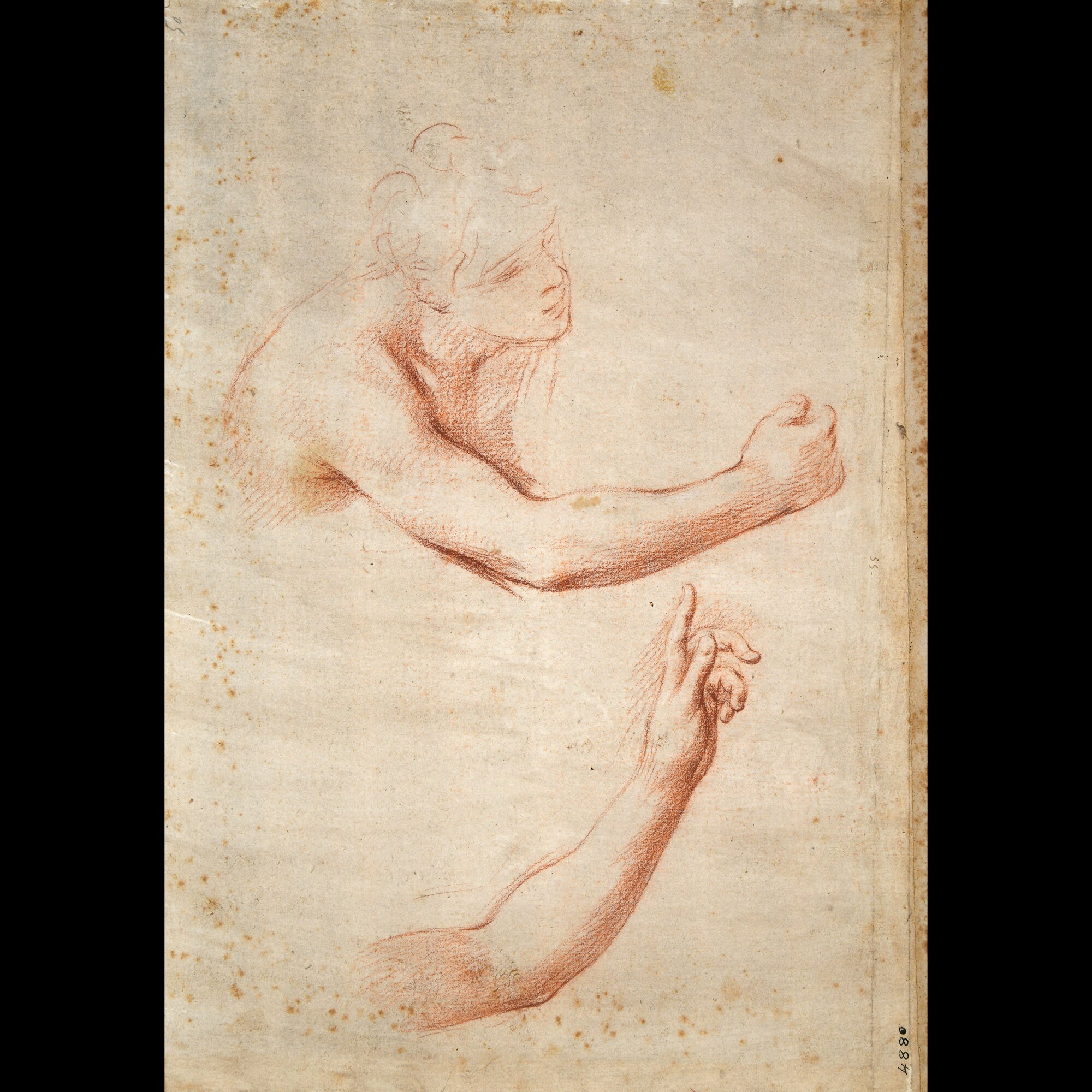 D4880_Franceschini M..tif