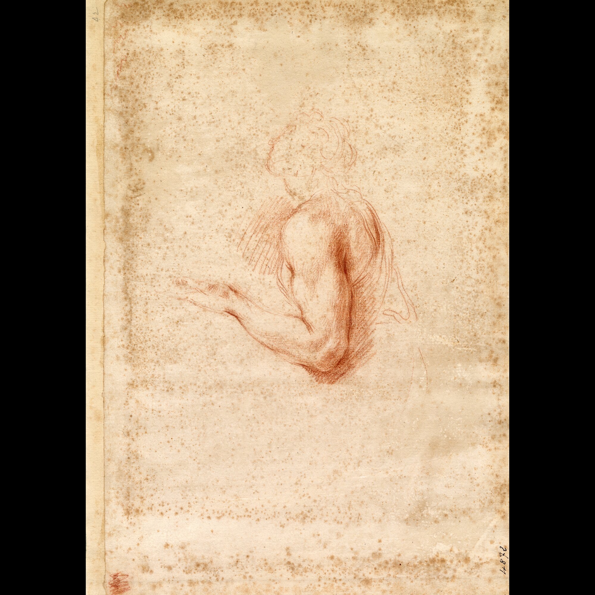 D4872_Franceschini M..tif