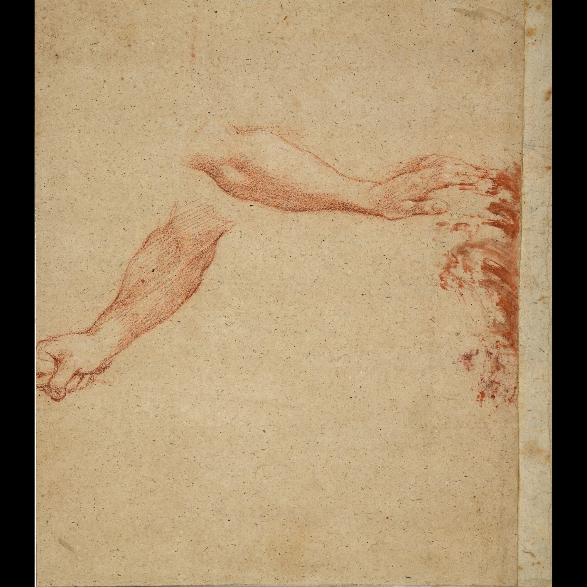 D4874_Franceschini M..tif