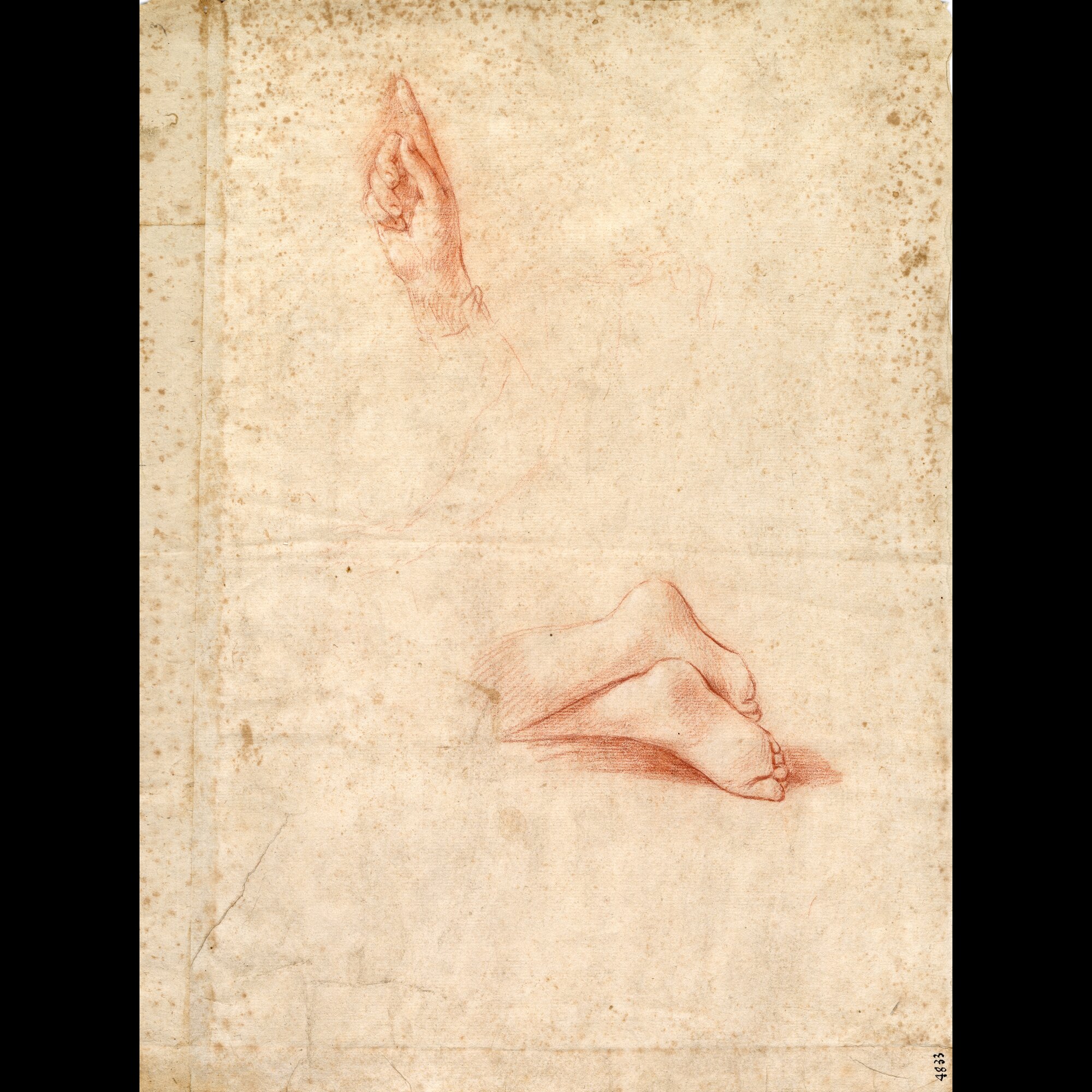 D4833_Franceschini M..tif