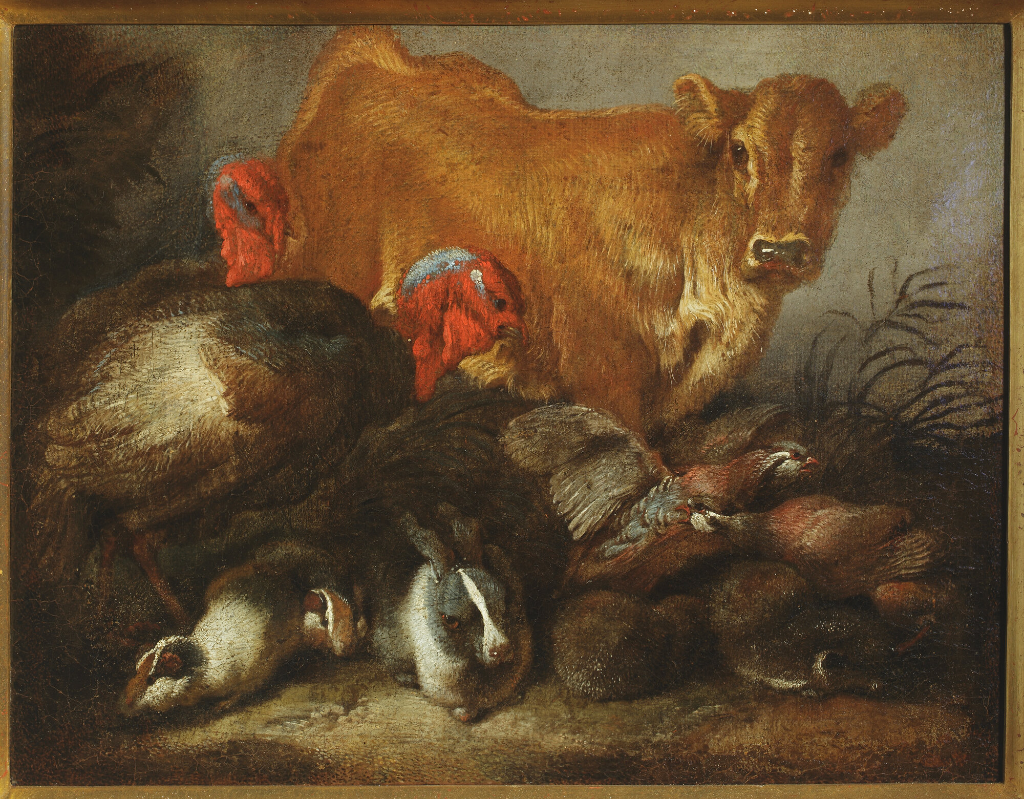 PB 0362_CASTIGLIONE G.B. Studio di animali_alta.jpg