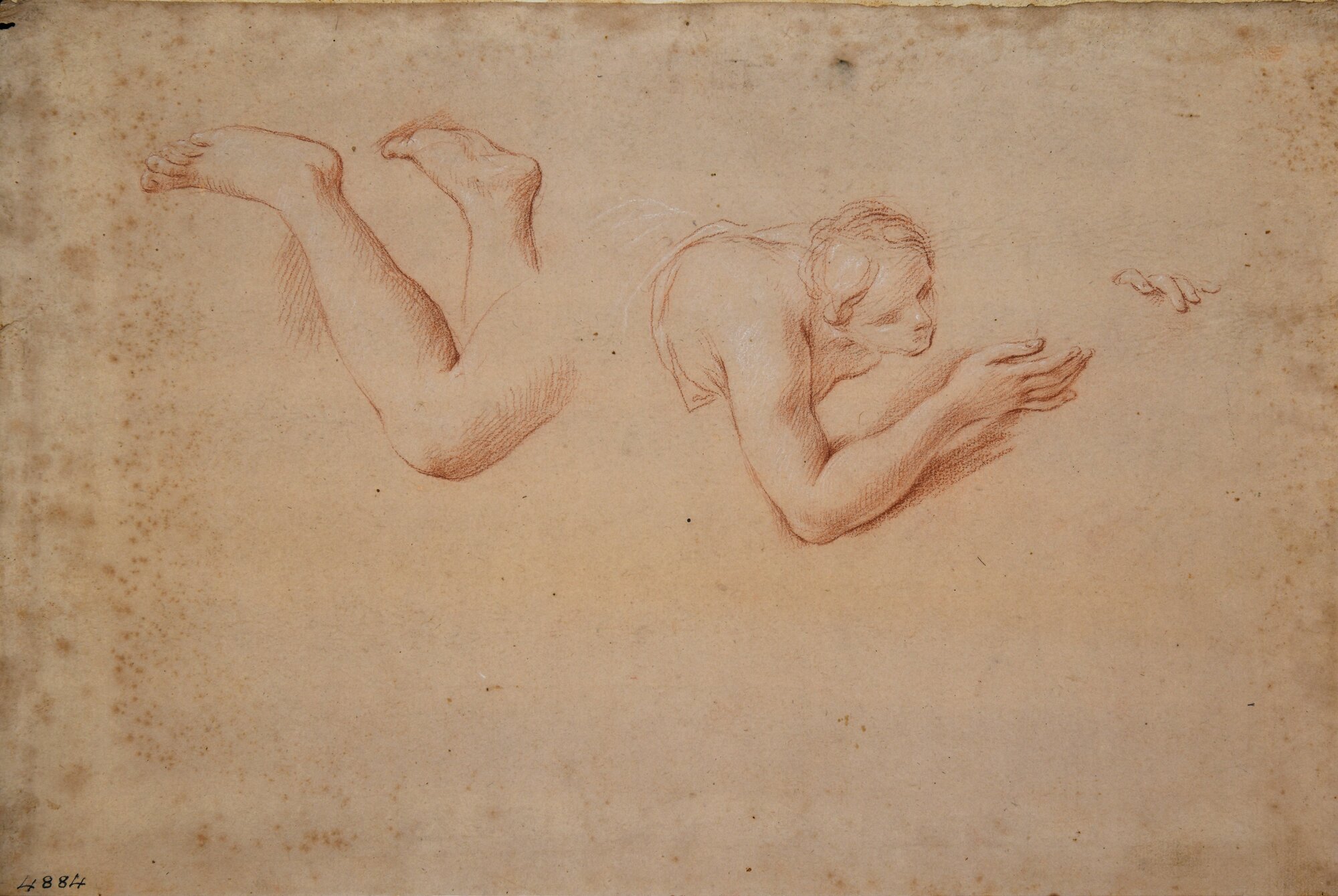 D4884_Franceschini M..tif