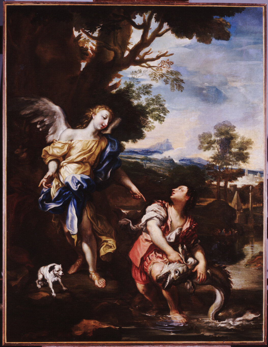 PB 1618_DE FERRARI L. Pesca di Tobiolo_alta.jpg