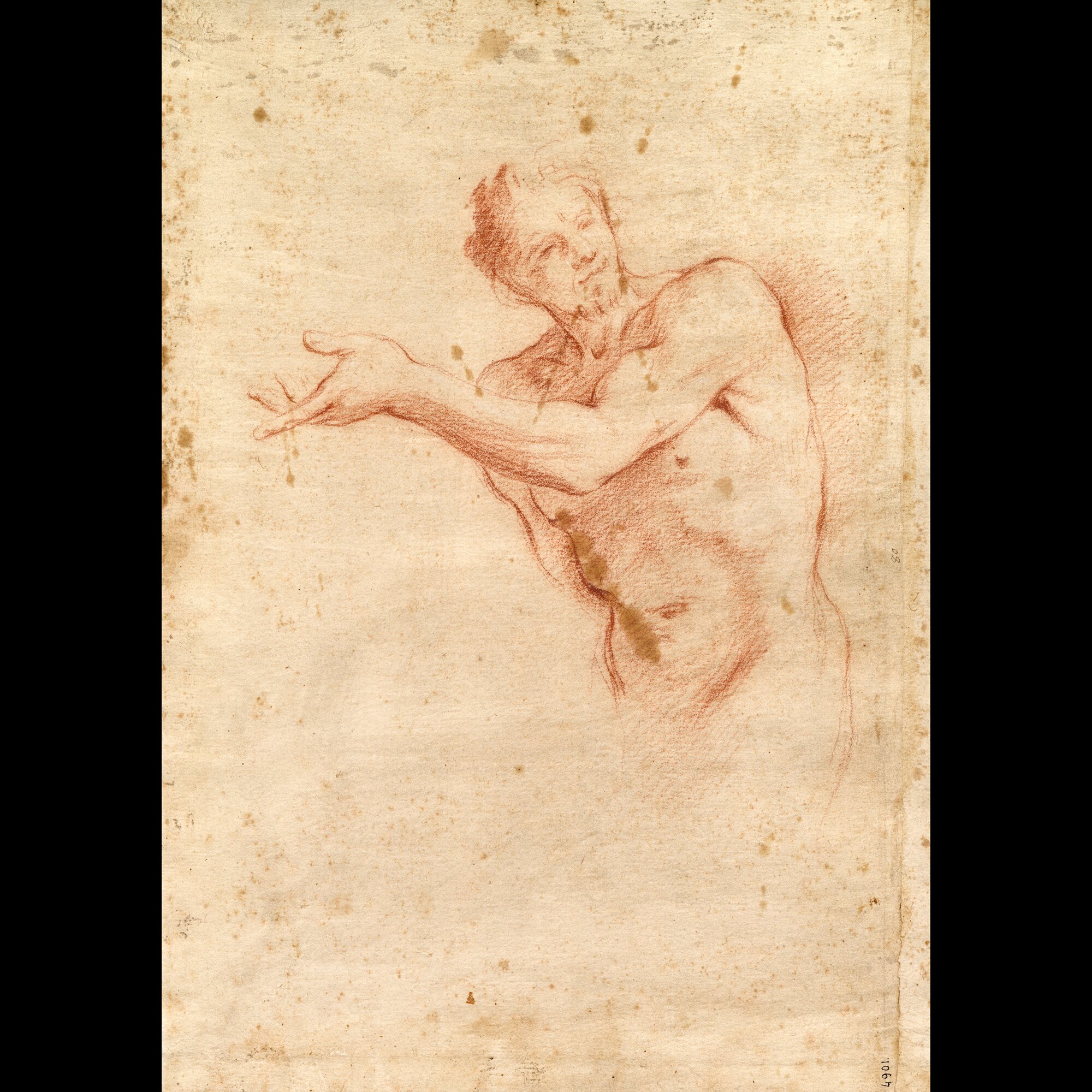D4901_Franceschini M..tif