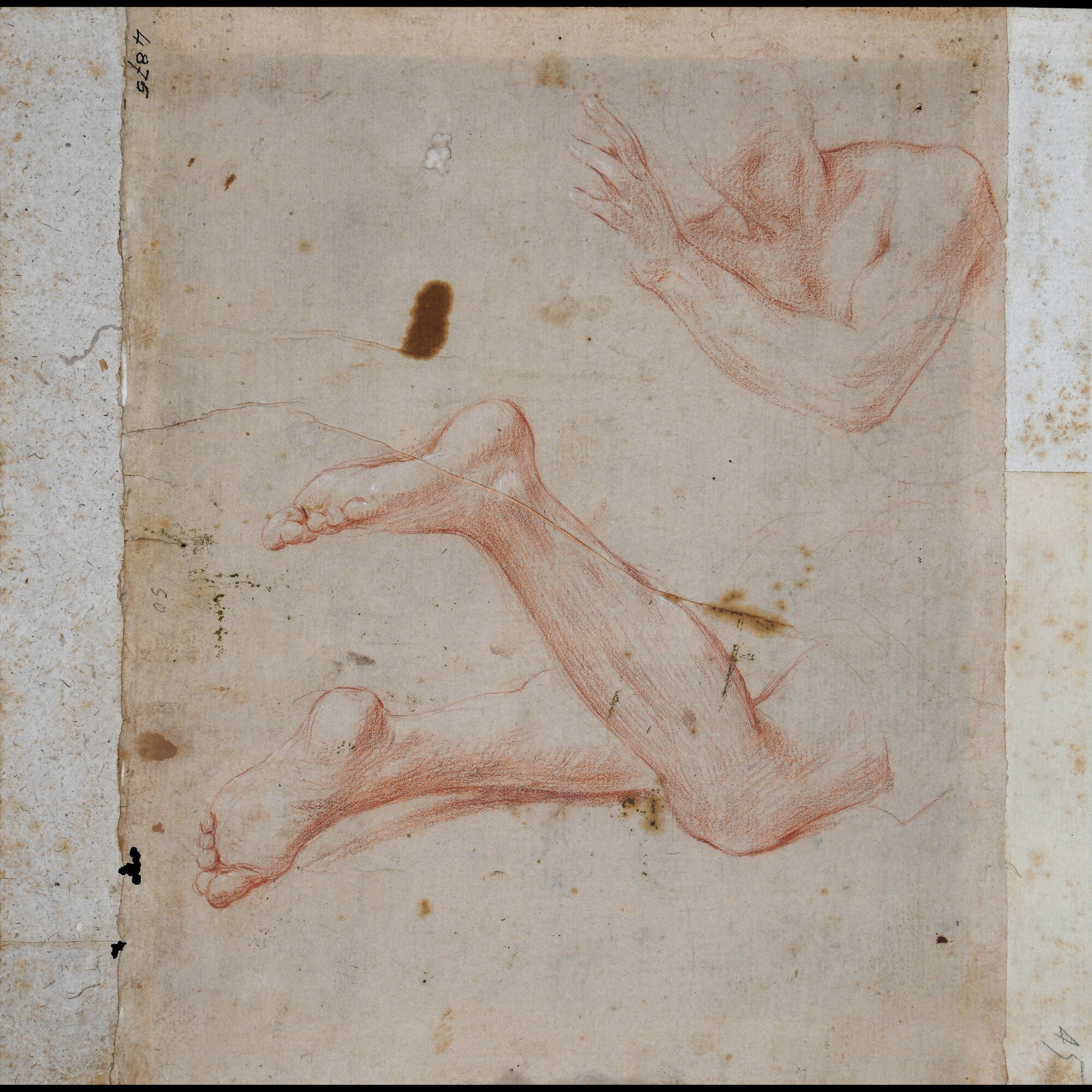 D4875_Franceschini M..tif