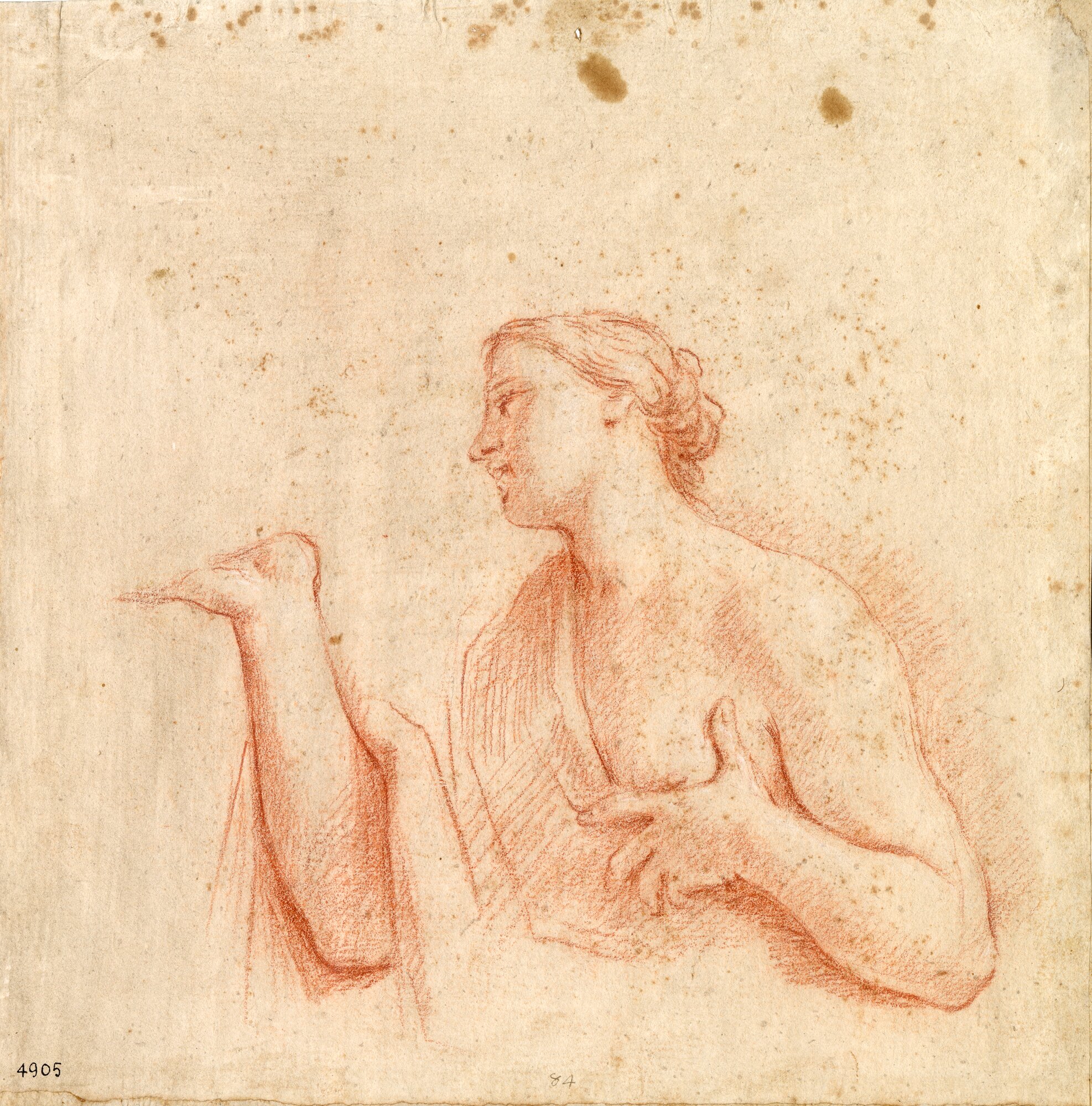 D4905_Franceschini M..tif