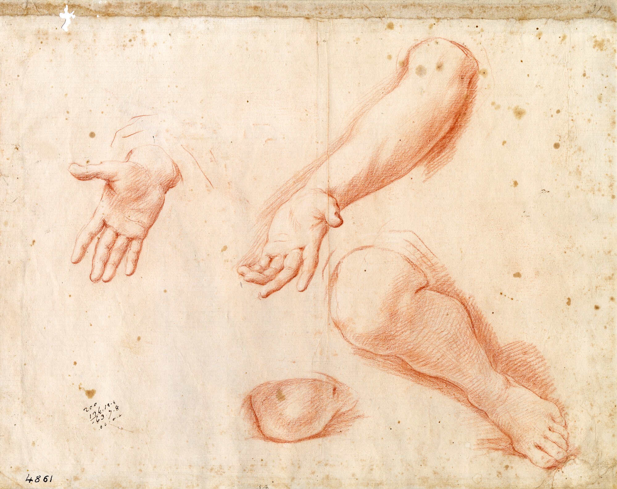 D4861_Franceschini M..tif