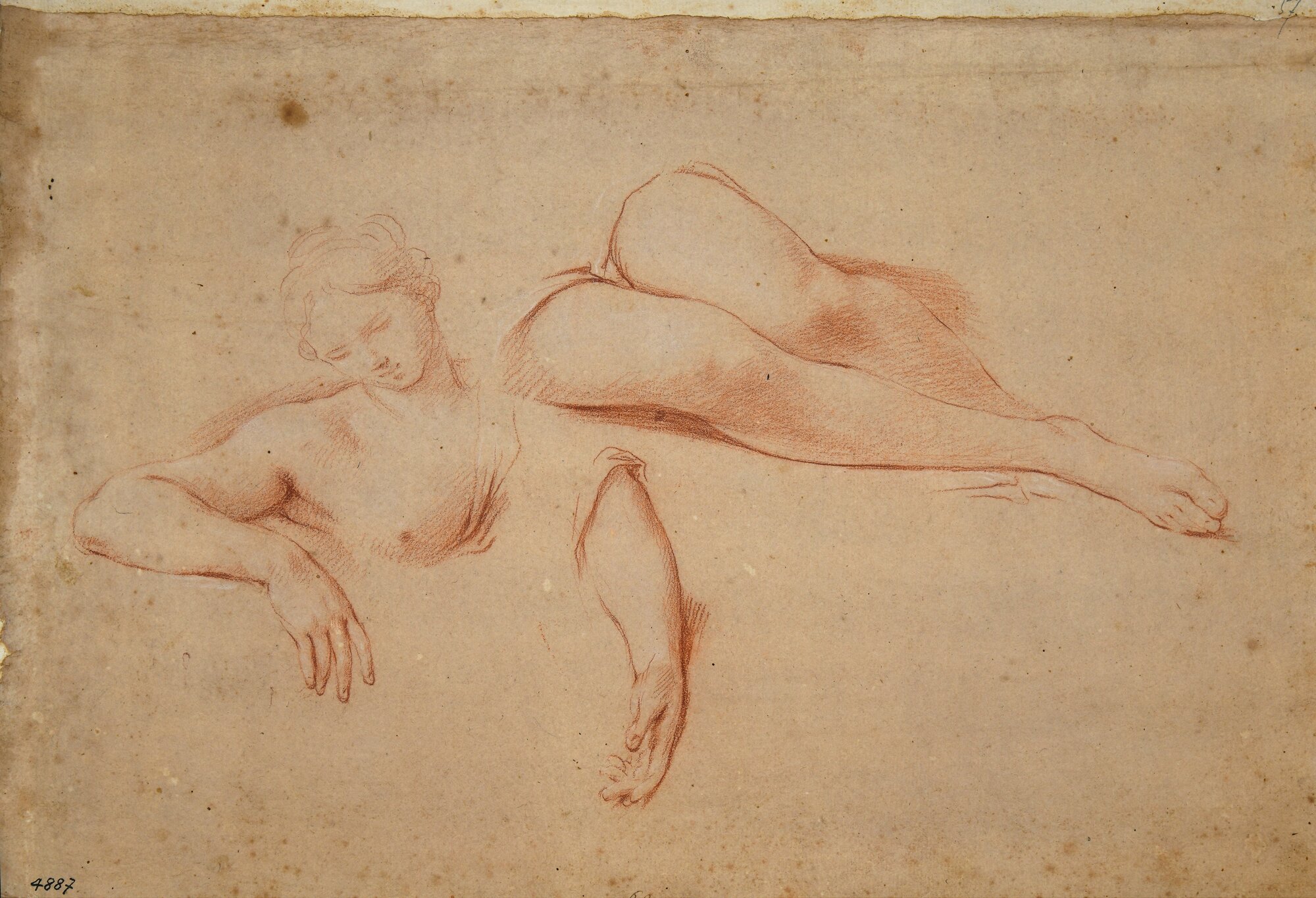 D4887_Franceschini M..tif