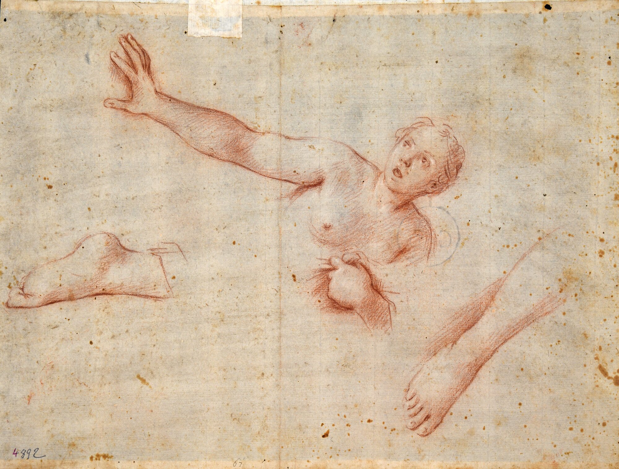 D4892_Franceschini M..tif