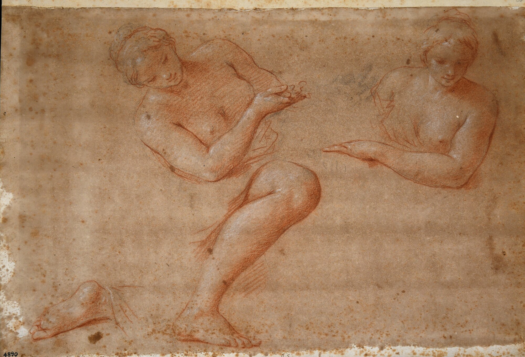 D4890_Franceschini M..tif