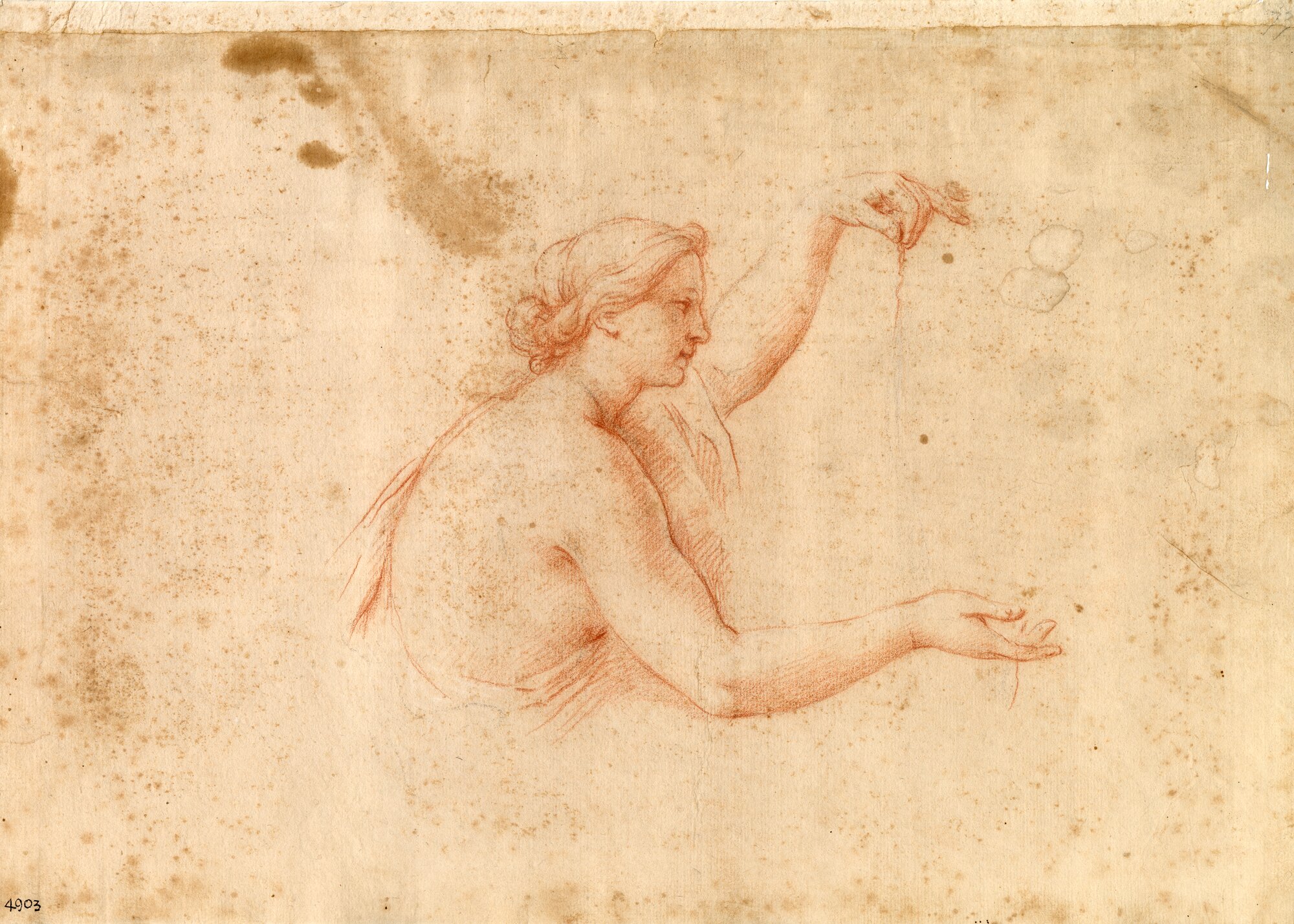 D4903_Franceschini M..tif