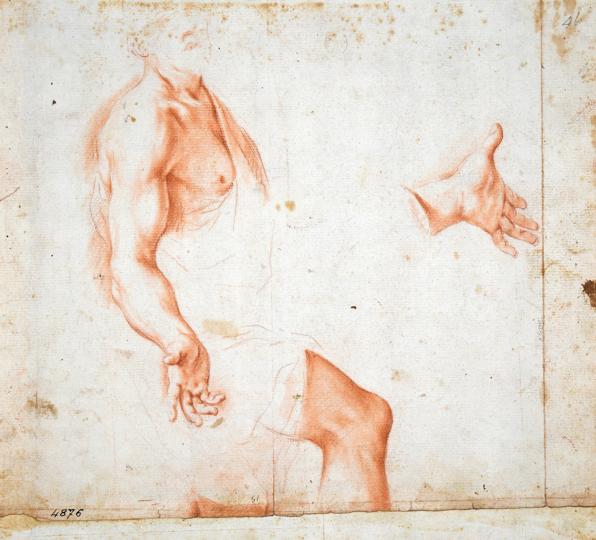 D4876_Franceschini M..tif